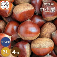 クーポン利用で 10％OFF ＼当選確率1/2！最大100％ポイントバック！本日 23:59 まで／★1つ1つ手選別した…