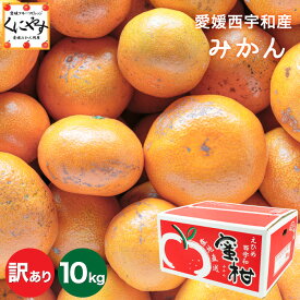 楽天市場 みかん 訳ありの通販