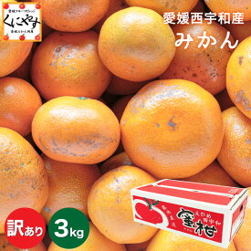 ★2年連続グルメ大賞受賞みかん★創業85年 愛媛 みかん の老舗【送料無料】【産地直送】愛媛西宇和産 みかん 訳あり 3キロ「訳ありみかん3」 日の丸みかん 川上みかん 真穴みかんと同一産地