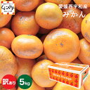 エントリーで最大ポイント4倍！18日は＼ご愛顧感謝デー！／★2年連続グルメ大賞受賞みかん★創業85年 愛媛みかん の老舗【送料無料】【産地直送】愛媛西宇和産 みかん 訳あり 5キロ「訳ありみかん5」日の丸みかん 川上みかん 真穴みかんと同一産地