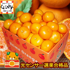【数量限定】【糖度11度以上 酸度1.0以下】【送料無料】愛媛西宇和産小玉みかん3kg2S-S玉「小玉みかん3」日の丸みかん、川上みかん、真穴みかんと同一産地/光センサー選別合格品/送料無料/蜜柑/ミカン/小粒/愛媛みかん/産地応援