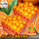 みかん 小玉 6kg 2S-S玉 糖度と酸度測定 光センサー選果品 送料無料 愛媛西宇和産 小玉みかん 6キロ 日の丸みかん 川上みかん 真穴みかん 同一産地 ...