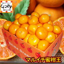全体の数%しかとれない超希少みかん!【送料無料】厳超希少みかん3kg!その名もマルイチ蜜柑王!糖度12.5度以上/酸度1.0以下!安心光センサー選果合格品!数量...