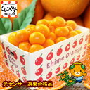 みかん 愛媛 5kg 糖度と酸度測定 光センサー選果合格品【送料無料】愛媛西宇和産みかんファミリー用5キロ 最高級ブランド日の丸みかんと同一産地 見た目綺麗 お...