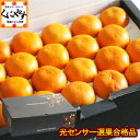 みかん ギフト 5kg 糖度と酸度測定 光センサー選果品 送料無料 愛媛西宇和産高級みかん贈答用5キロ 黒い化粧箱に専用トレーで2段詰め 最高級ブランド日の丸み...