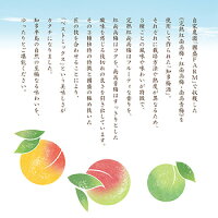 知多梅酒こだわり