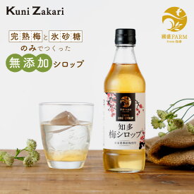 國盛ファーム 梅シロップ 420g / 中埜酒造 希釈用 4倍希釈 梅シロップ 梅ジュース 梅ドリンク 梅サワー 梅ソーダ ノンアルコール 香料 酸味料 無添加 母の日 父の日 お中元 敬老の日 御歳暮 お歳暮 御年賀