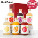 果実のお酒 飲み比べ 300ml×6本 セット フルリア / 果実酒 母の日ギフト お酒 フルーツ ギフト 國盛 飲み比べセット …