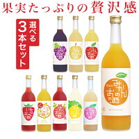 【送料無料】720ml選べる3本セット!【愛知物産展30%OFFクーポン対象】果実のリキュール