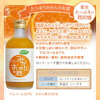 【送料無料】【ギフト贈り物】果実のお酒飲み比べ6本セット/中埜酒造國盛リキュール飲み比べみかんぶどうももりんごなしざくろ
