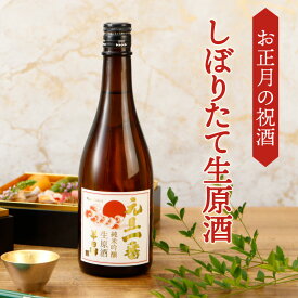 お歳暮 ギフト お年賀 特撰國盛 純米吟醸 元旦一番 720ml 生原酒 ／ 御年賀 御歳暮 送料無料 数量限定 日本酒 贈答 お酒 ギフト お歳暮 御歳暮 冬ギフト 御年賀 お年賀 限定 年末 年始 生酒 原酒 元旦 お正月 正月 プレゼント しぼりたて 新年 挨拶 地酒