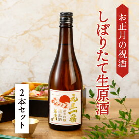 お歳暮 ギフト お年賀 特撰國盛 純米吟醸 元旦一番 【2本セット】720ml 2本 / 御年賀 御歳暮 送料無料 生原酒 日本酒 贈答 限定 お歳暮 御歳暮 冬ギフト 年賀 年末年始 ギフト プレゼント お祝い 新年 お酒 化粧箱 純米吟醸酒 包装 熨斗 地酒
