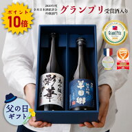 【ポイント10倍】父の日 日本酒 大吟醸 純米吟醸 720ml 2本 飲み比べ セット 化粧箱 SA-H /ギフト お酒 …