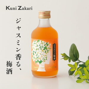  WX~~ 300ml / ~ WX~ W L[ ʎ Mtg JNe t[c v[g 킢 q AR[ ݂₷ Ì