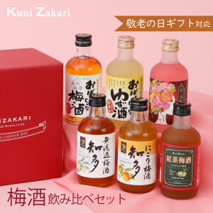 ~ 300ml ×6 ݔ oGeB[ / {i~ 䂸 g~ ɂ~ [Y~ ݔ L[ v[g Mtg Zbg  q a  䒆 hV̓ 