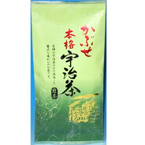 Japanesetea ���X �S����������(�N���b�N�|�X�g����) ���Ԃ� �{�i�F����80g ���� ���{�� �Β� ���s ���Ԃ���
