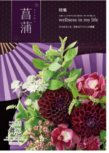 gift IׂJ^O a S J^OMtg Ҋ()R[X K662