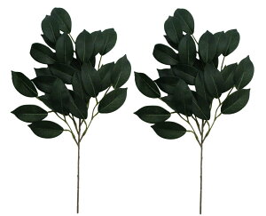 _  ȂTJL   55cm yztno-a70