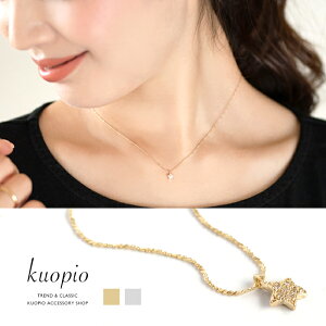 lbNX  y_g X^[ LL  `F[ fB[X ANZT[ Mtg v[g  l KUOPIO NIsI 