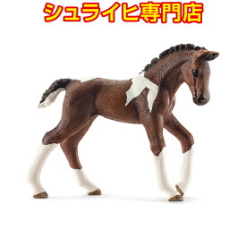 【シュライヒ専門店】シュライヒ トラケナー馬 仔 13758 動物フィギュア ファームワールド FARM WORLD 馬 ウマ horses schleich