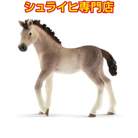 楽天市場 シュライヒ 動物病院の通販