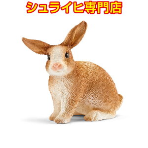 yVCqXzVCq ETM 13827 tBMA t@[[h FARM WORLD _ Farm Animals schleich