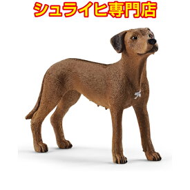 【シュライヒ専門店】シュライヒ ローデシアン・リッジバック 13895 動物フィギュア ファームワールド FARM WORLD 犬 イヌ dogs schleich