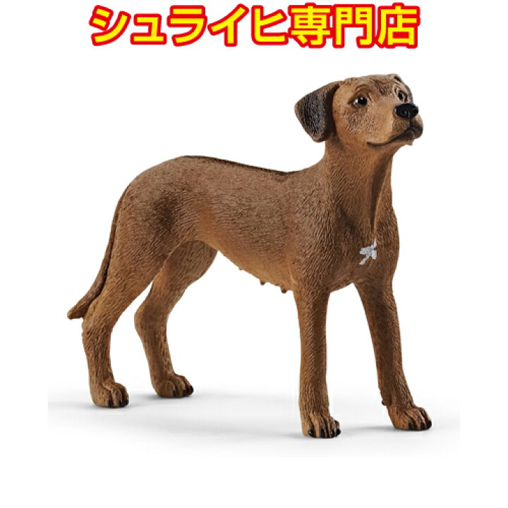 楽天市場 シュライヒ専門店 シュライヒ ローデシアン リッジバック 135 動物フィギュア ファームワールド Farm World 犬 イヌ Dogs Schleich クピトイズ