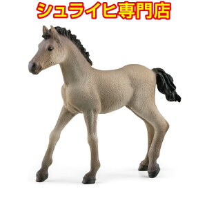 zyVCqXzVCq NI[WEftBjeCH e 13949 tBMA z[XNu HORSE CLUB schleich