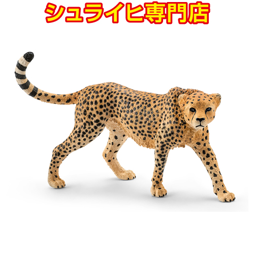 楽天市場】【シュライヒ専門店】シュライヒ チータ メス 14746 動物