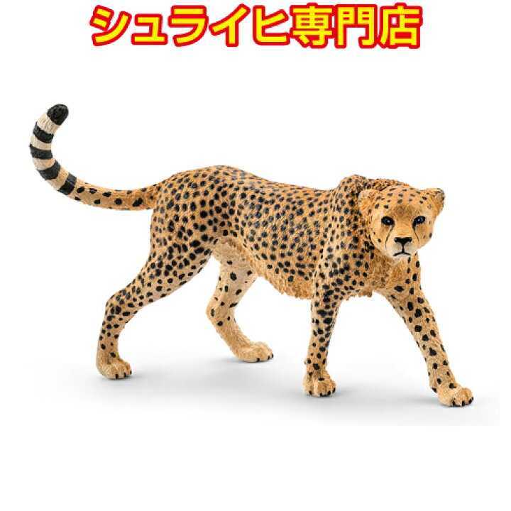 楽天市場 シュライヒ専門店 シュライヒ チータ メス 動物フィギュア ワイルドライフ Wild Life サファリ Safari Schleich クピトイズ