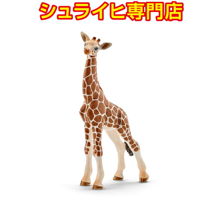 楽天市場】【シュライヒ専門店】シュライヒ キリン 仔 14751 動物 