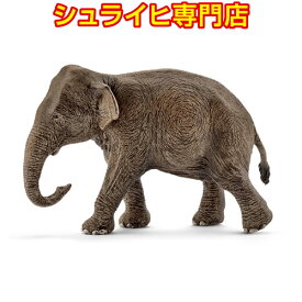 【シュライヒ専門店】シュライヒ インド象 メス 14753 動物フィギュア ワイルドライフ Wild Life ジャングル Jungle schleich