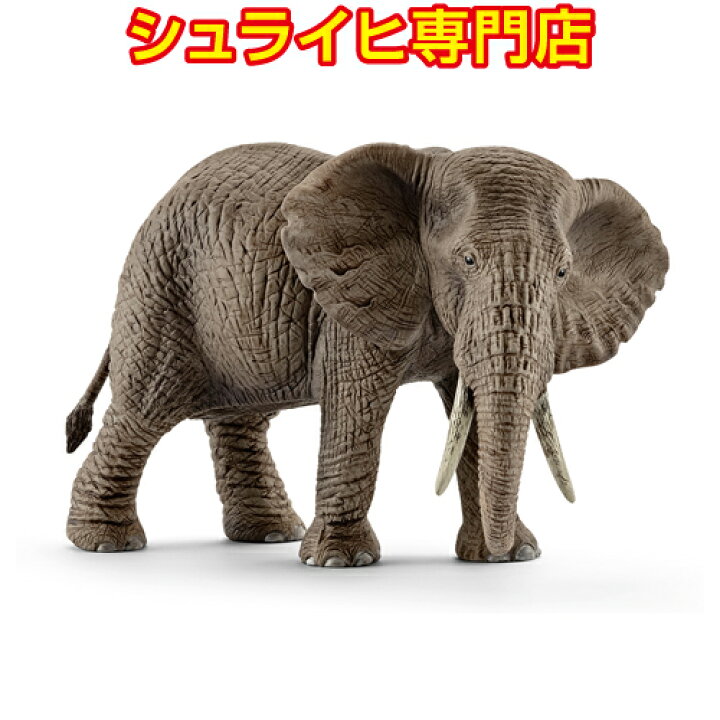 楽天市場 シュライヒ専門店 シュライヒ アフリカ象 メス 動物フィギュア ワイルドライフ Wild Life サファリ Safari Schleich クピトイズ