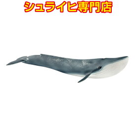 【シュライヒ専門店】シュライヒ シロナガスクジラ 14806 動物フィギュア ワイルドライフ Wild Life 海の世界 Ice&Ocean schleich