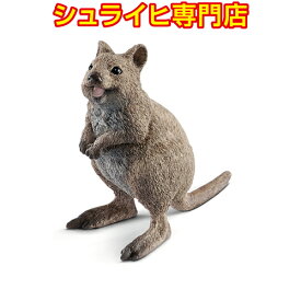 楽天市場 クアッカワラビーの通販