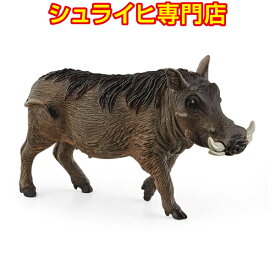 楽天市場 イボイノシシ イノシシの通販 楽天市場 イボイノシシ イノシシの通販