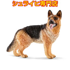 楽天市場 シュライヒ 犬の通販