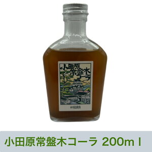 XIWiVNtgR[ cՖ؃R[ 200ml 1{ t Nu ߃^Cv ViKURA