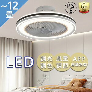 y2025ŐV^zV[Ot@Cg F LED V[Ot@ 6~12 V[OCg ^ Cg t@tƖ ʒ É@ VƖ Ɩ DC[^[ 铔 y