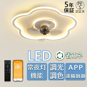 y2025ŐV^zV[Ot@Cg V[OCg V[Ot@ BluetoothΉ y_gCg F LEDV[OCg 12 ^  k t@tƖ Cg Ɩ