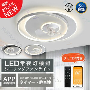 y2025ŐV^zV[Ot@ V[Ot@Cg V[OCg y_gCg F LED BluetoothΉ 12 ^  k t@tƖ ʒ É Rt 