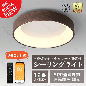 y5Nۏ؁zV[OCg LED Cg F Ɩ  k dC ԐڏƖ Rt DC[^[ 12 Px tȒP 邢 VƖ rO  JtF m Q