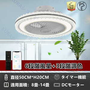 y5Nۏ؁zV[OCg V[Ot@ F V[Ot@Cg LED Cg R 6~14 Ɩ rO Ɩ  Vv DC[^[ ʒ Cg 