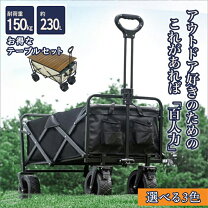楽天市場】子供が乗れる キャリーワゴン（アウトドアワゴン 
