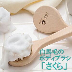 󑐃A[guV Ki nу{fBuV  Ђ̂̃{fB[uV ]_炩 VR  Ђ̂ C w A ь@{fB[uV@{fBPAuV