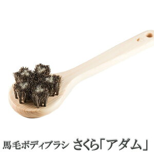 󑐃A[guV Ki nу{fBuV wA_x Ђ̂̃{fB[uV ]Onh d VR Ђ̂ N[i[t C w ь@{fB[uV@{fBPA