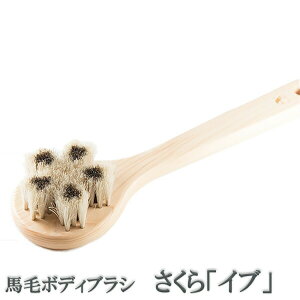 󑐃A[guV Ki nу{fBuV wCux Ђ̂̃{fB[uV ]Onh _炩 VR Ђ̂ N[i[t C w ь@{fB[uV@{fBP