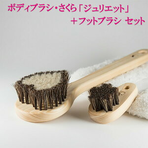 󑐃A[guV Ki nу{fBuV n[gwWGbgx Ђ̂̃{fB[uV {tbguVwxiuVN[i[tj{fB[uV@{fBPAuV