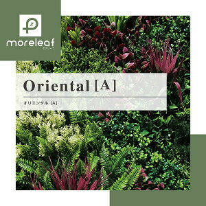 A[t 4Zbg oriental A ]tFCNO[ EH[O[ rO     ǖʗΉ jIrY moreleaf 